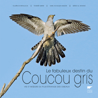 LE FABULEUX DESTIN DU COUCOU GRIS - VIE ET MURS DU PLUS ETRANGE DES OISEAUX