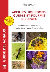 Abeilles, bourdons, guêpes et fourmis d'Europe