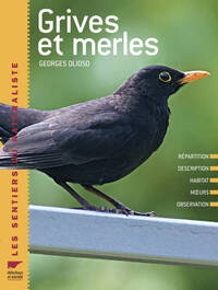 Grives et merles