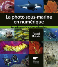 La Photo sous-marine en numérique