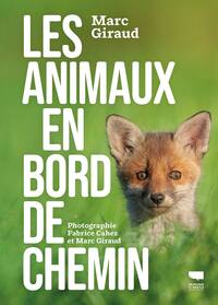 Animaux en bord de chemin