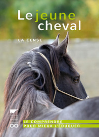 Le Jeune cheval