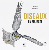 OISEAUX EN MAJESTE