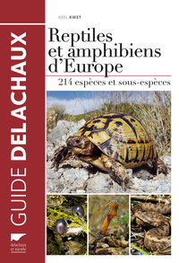 Reptiles et amphibiens d'Europe