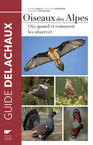 OISEAUX DES ALPES - OU, QUAND, COMMENT LES OBSERVER