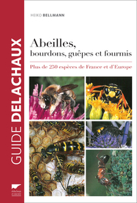 Abeilles, bourdons, guêpes et fourmis