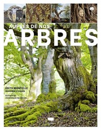 Auprès de nos arbres