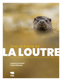 Sur la piste de la Loutre