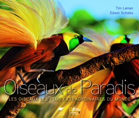 OISEAUX DE PARADIS - LES OISEAUX LES PLUS EXTRAORDINAIRES DU MONDE