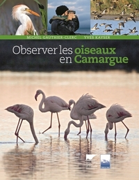 OBSERVER LES OISEAUX EN CAMARGUE