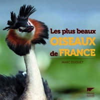 LES PLUS BEAUX OISEAUX DE FRANCE