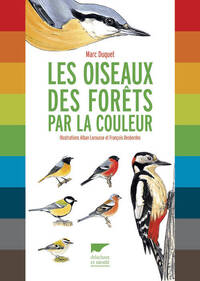 LES OISEAUX DES FORETS PAR LA COULEUR