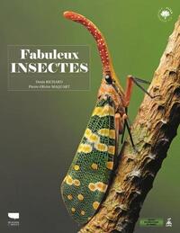 Fabuleux insectes