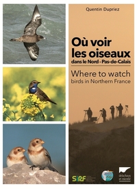 OU VOIR LES OISEAUX DANS LE NORD PAS-DE-CALAIS - WHERE TO WATCH BIRDS IN NORTHERN FRANCE