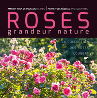 ROSES GRANDEUR NATURE