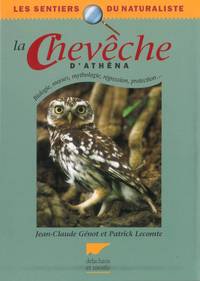 La Chevêche d'Athéna