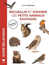 Recueillir et soigner les petits animaux sauvages