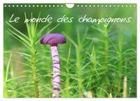 Le monde des champignons (Calendrier mural 2025 DIN A4 vertical), CALVENDO calendrier mensuel