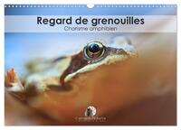 Regard de Grenouilles - Charisme amphibien (Calendrier mural 2025 DIN A3 vertical), CALVENDO calendrier mensuel