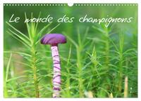 Le monde des champignons (Calendrier mural 2025 DIN A3 vertical), CALVENDO calendrier mensuel