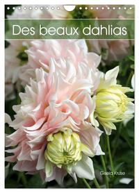 Des beaux dahlias (Calendrier mural 2025 DIN A4 horizontal), CALVENDO calendrier mensuel