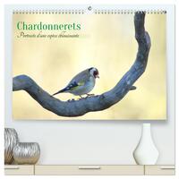 Chardonnerets - Portraits d'une espèce éblouissante  (Calendrier mural 2026 DIN A2 vertical) calendrier de bureau