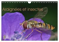 Araignées et insectes (Calendrier mural 2025 DIN A4 vertical), CALVENDO calendrier mensuel