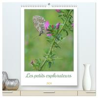 Les petits explorateurs  (Calendrier mural 2026 DIN A2 horizontal) calendrier de bureau