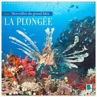 La plongée : merveilles du grand bleu (Calendrier mural carré 2026 30x30 cm) Calendrier double avec une page pour vos prises de notes