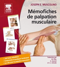 Mémofiches de palpation musculaire