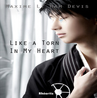 Like a Torn in my Heart