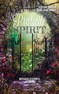 PRATICITE SPIRIT - MESSAGES D'ESPRITS SUPERIEURS