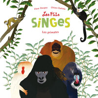 LES P'TITS SINGES