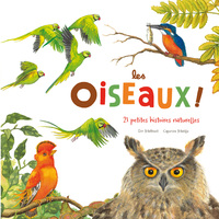 LES OISEAUX