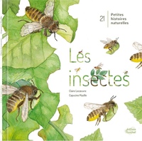 Les Insectes !