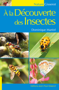 À la découverte des insectes