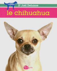 Le chihuahua NE