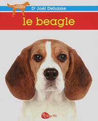 Le beagle NE