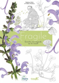 FRAGILE - SEMER DES IDEES ET DES ACTES POUR DEMAIN