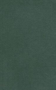 Œuvres poétiques complètes T8 : Dans la fournaise. Poèmes non recueillis et inédits