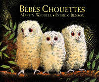 bebes chouettes