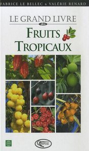 DES FRUITS TROPICAUX