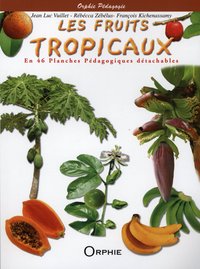 LES FRUITS TROPICAUX