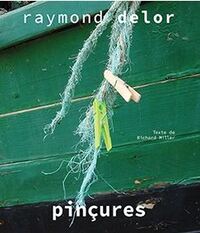 Pinçures - Raymond Delor