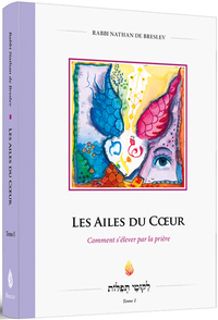 LES AILES DU COEUR - COMMENT SELEVER PAR LA PRIERE