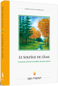 LE SOLFEGE DE LAME - COMMENT EXTRAIRE LE MEILLEUR DE NOUS-MEMES