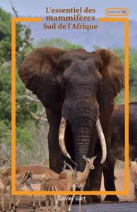 L'essentiel des mammifères Sud Afrique