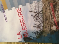 La blessure et autres nouvelles