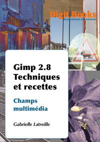 Gimp 2.8 Techniques et recettes