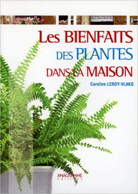 Les bienfaits des plantes dans la maison